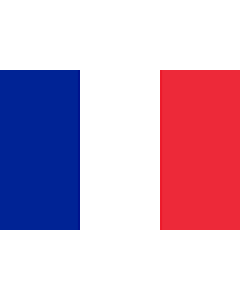 Flag: Saint Barthélemy