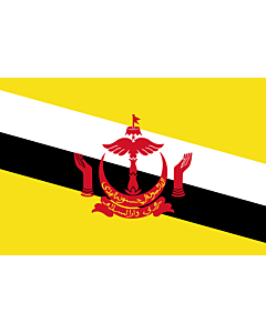 Flag: Brunei Darussalam