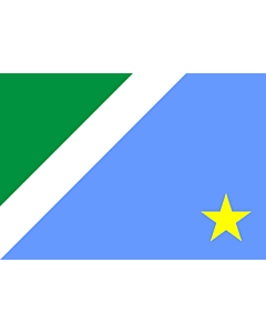 Flag: Mato Grosso do Sul