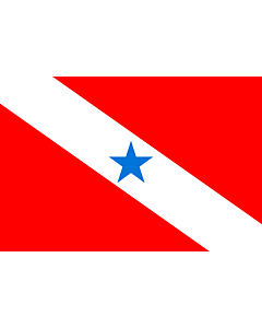 Flag: Pará