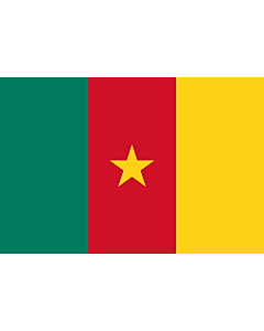 Flag: Cameroon