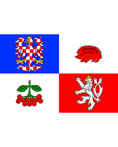 Flag: Vysočina Region
