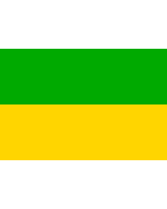 Flag: Dasnice municipality