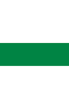Flag: Saxony 