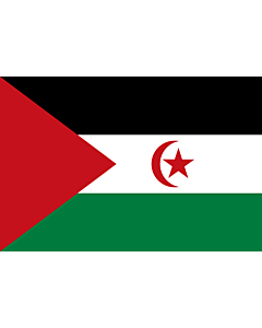 Flag: Western Sahara