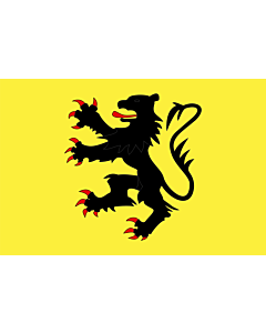 Flag: Representing the  Lion of Flanders
