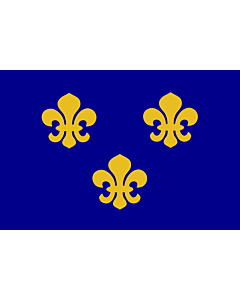 Flag: Medieval France | Present day s Île-de-France In 1328, the coat-of-arms of the House of Valois was blue with gold fleurs-de-lis bordered in red