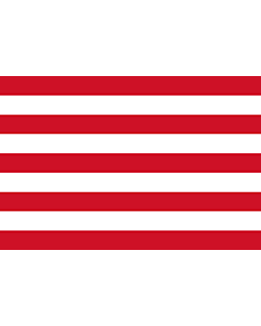 Flag: Esztergom city