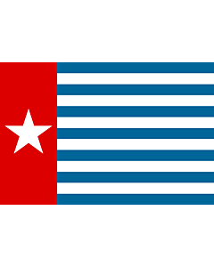 Flag: Unofficial Morning Star flag