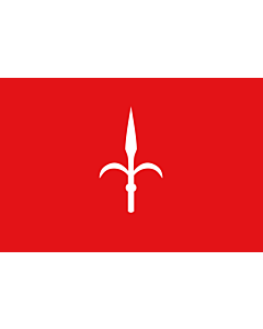 Flag: Province of Trieste