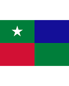 Flag: Standard of the Prime Minister of the Maldives