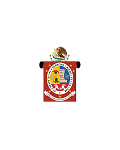 Flag: Oaxaca