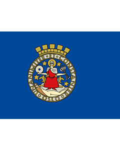 Flag: Oslo