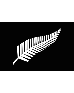 Flag: A Silver Fern flag, a proposed new New Zealand