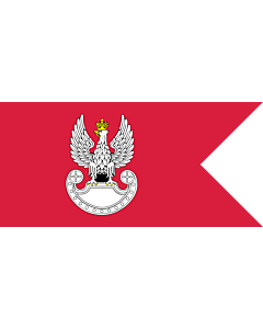 Flag: Polish Ground Forces flag. Adopted in 1993