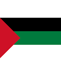 Flag: Hejaz from 1917 to 1920  1335-1338 A