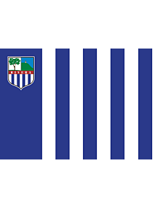 Flag: Rivera