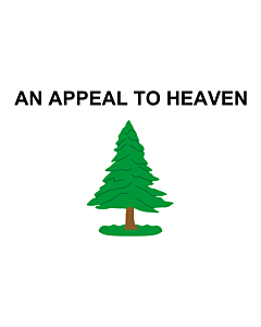 Flag: An Appeal to Heaven Flag  also called the Pine Tree Flag